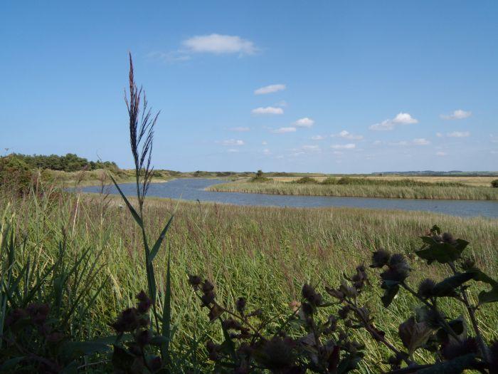 Looking over Broadwater from the NOA hide with disabled access