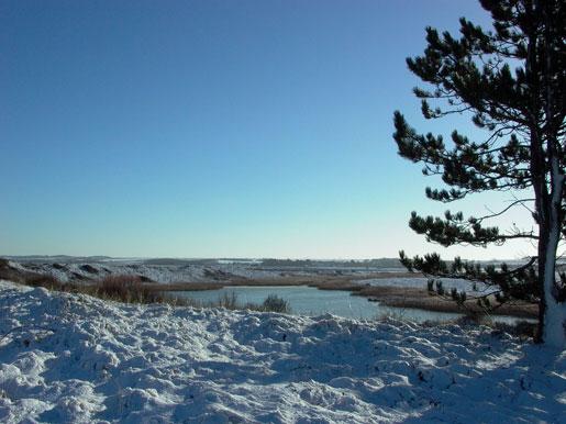 Winter visits Broadwater, Holme-next-the-Sea